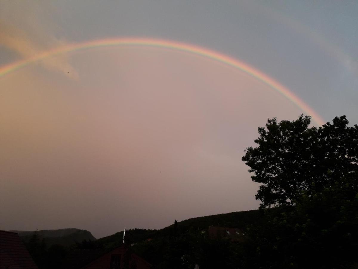 Elfenhaeuschen Mit 3 Dtv Sternen Ausgezeichnet Villa Bad Harzburg Luaran gambar