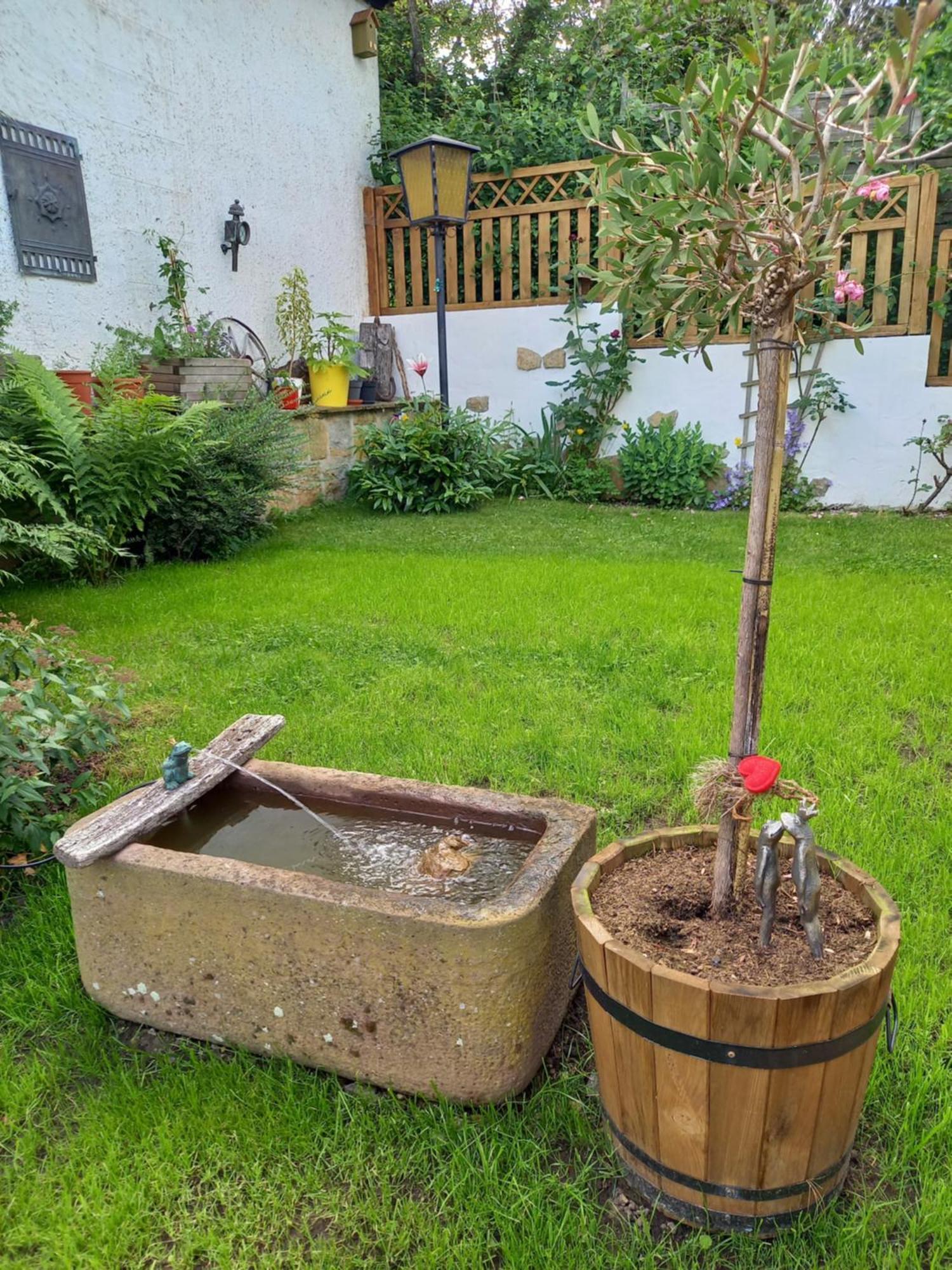 Elfenhaeuschen Mit 3 Dtv Sternen Ausgezeichnet Villa Bad Harzburg Luaran gambar