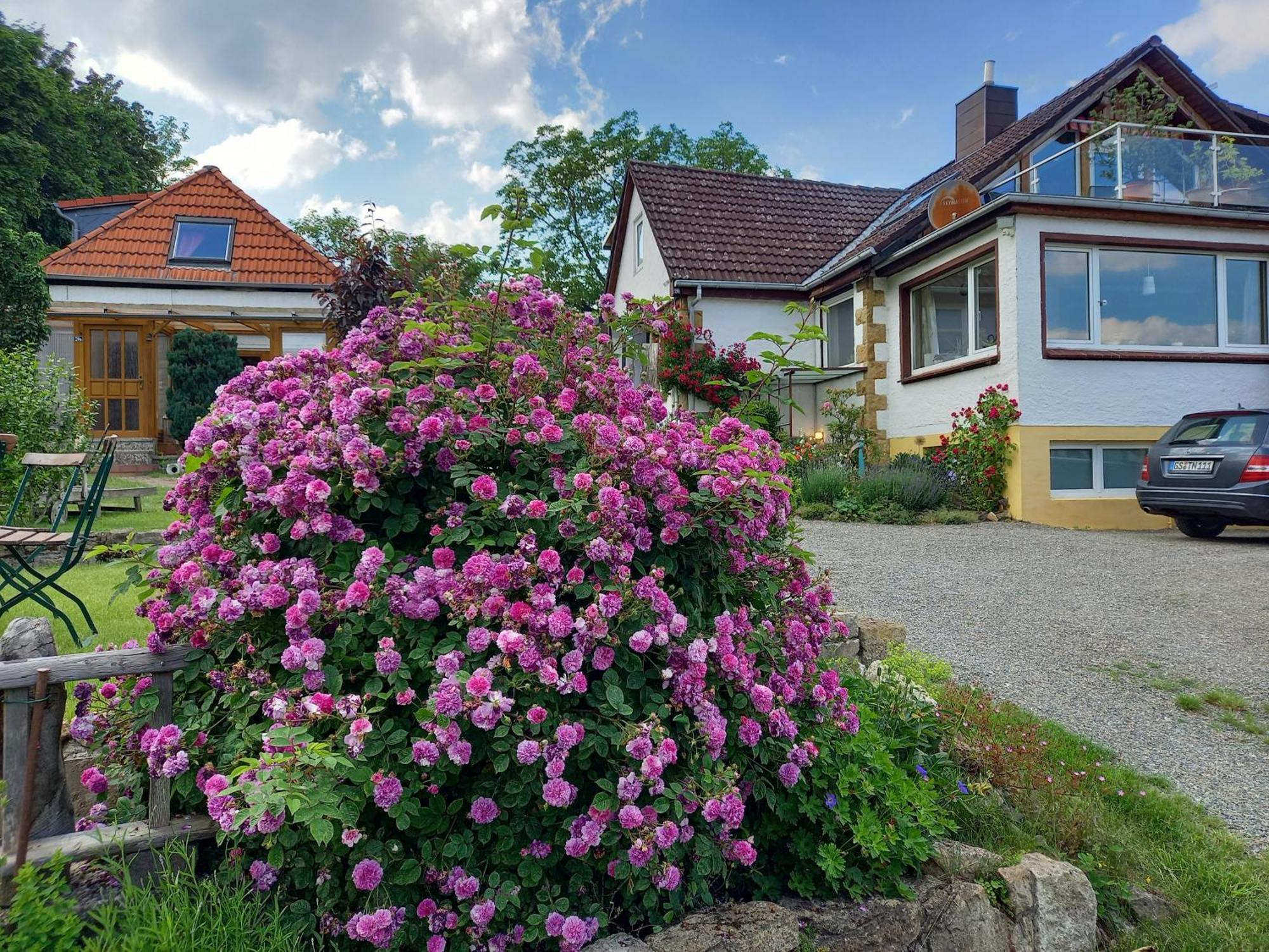 Elfenhaeuschen Mit 3 Dtv Sternen Ausgezeichnet Villa Bad Harzburg Luaran gambar